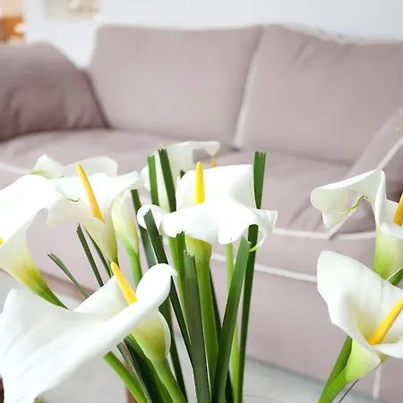 Ferienhaus, Ruegen, Wasser, Bodden Prázdninový dům *